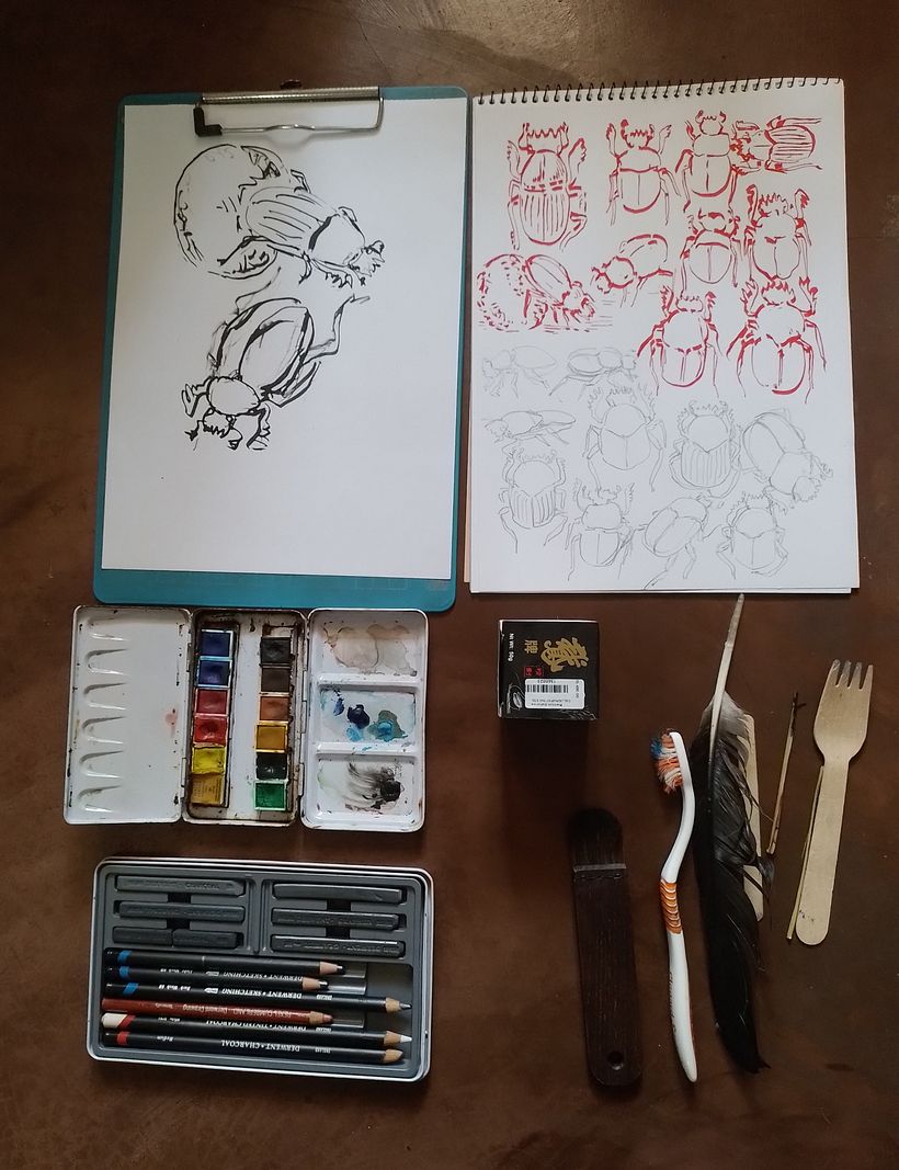 Tools I used