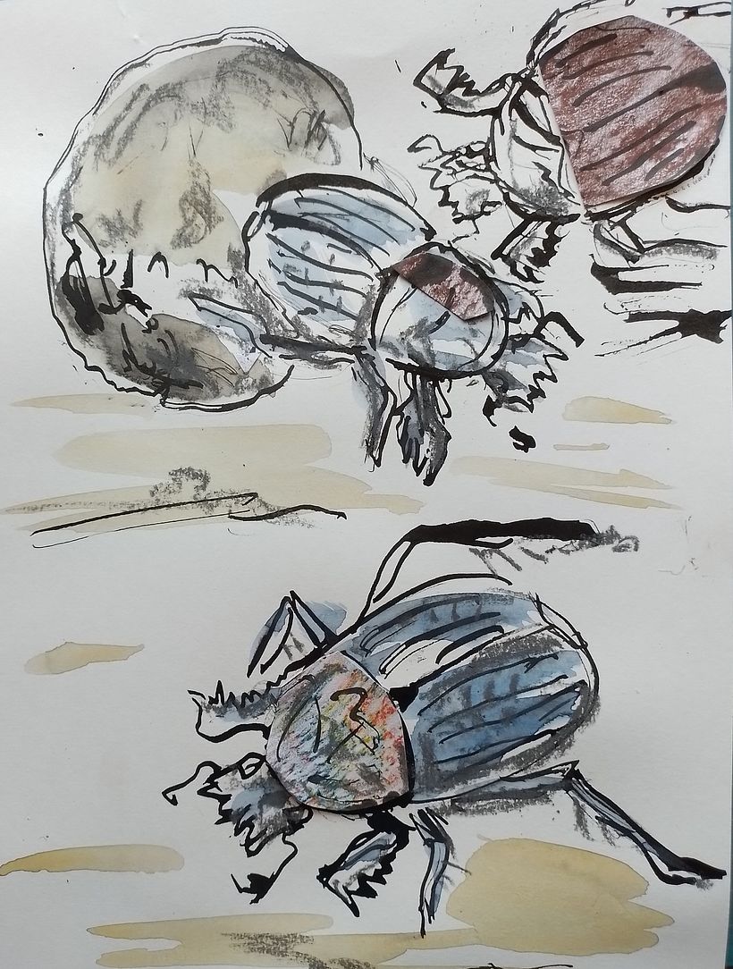 Egyptian Scarab Beetles