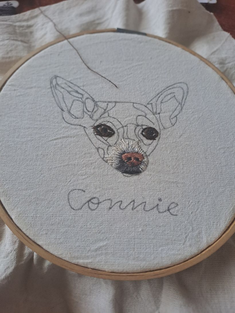 Connie 1