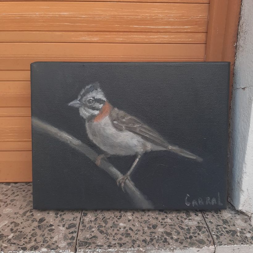 Mi proyecto del curso: Pintura al óleo para retrato naturalista de aves 4