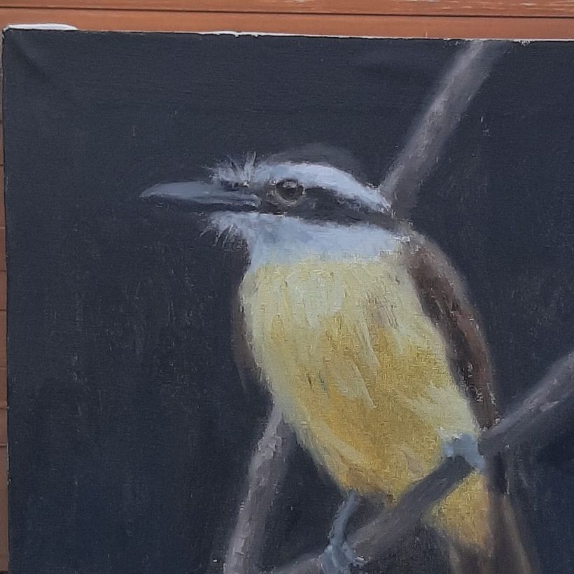 Mi proyecto del curso: Pintura al óleo para retrato naturalista de aves 5