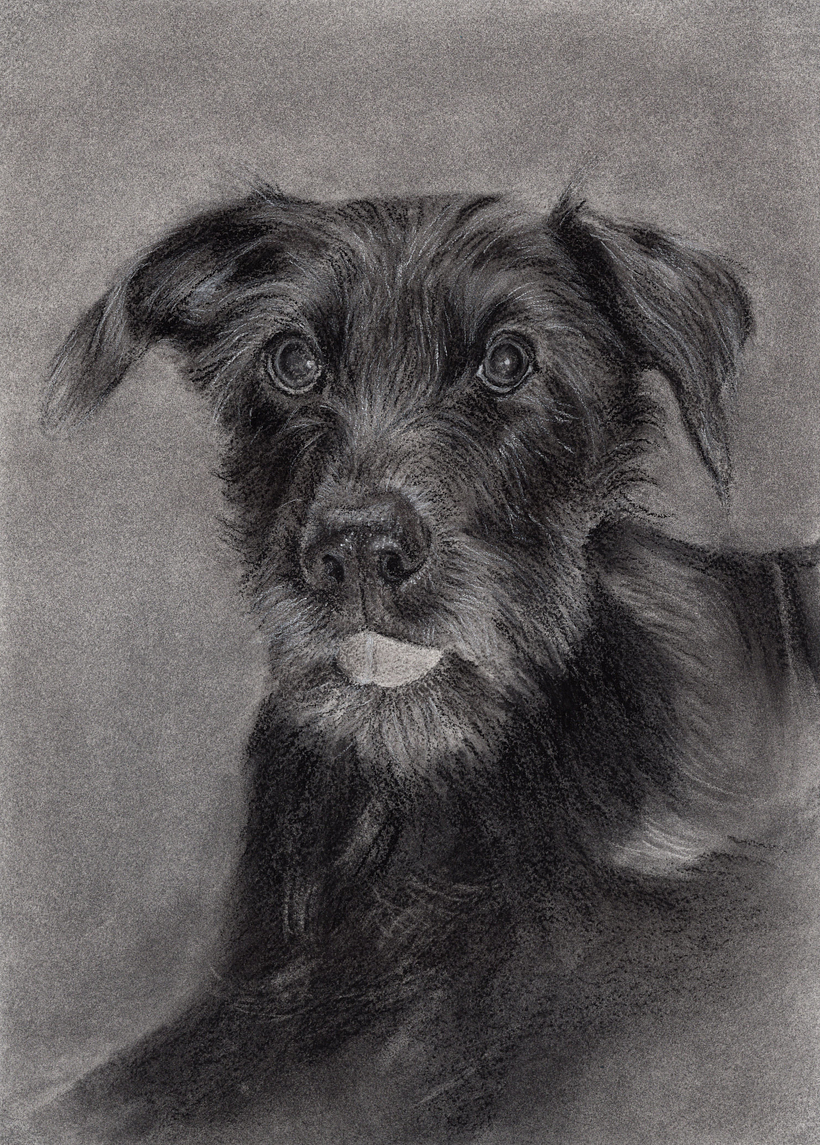 Carboncillo sobre papel, 36 x 25,5 cm