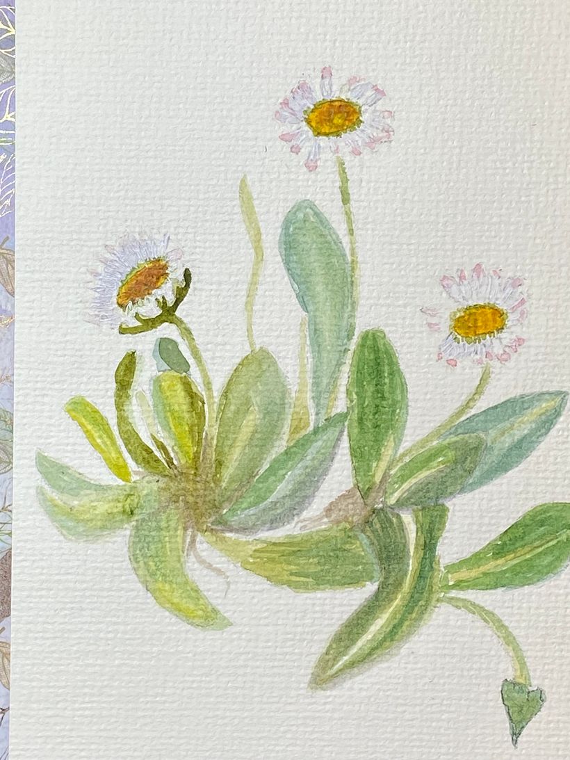 My project for course: Botanical Illustration with Watercolors 2