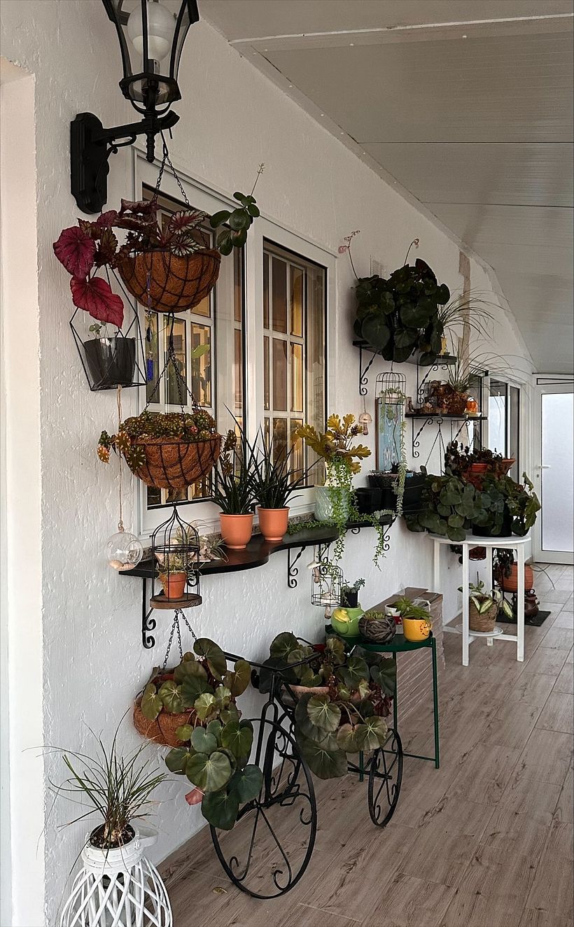 Meu projeto do curso: Home styling: decore sua casa com plantas 2