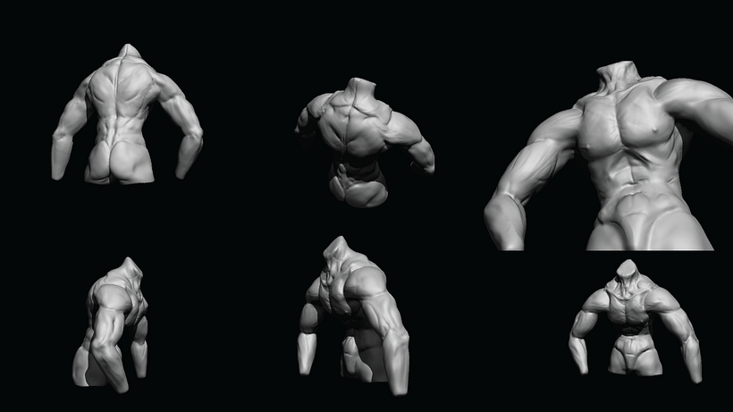 Heroic Torso Anatomy practice 6