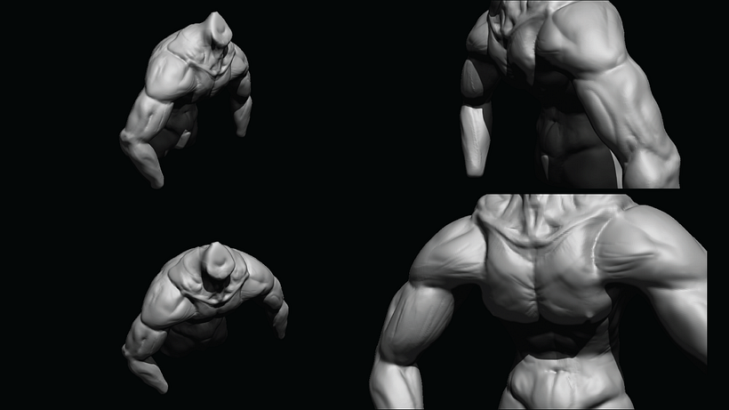 Heroic Torso Anatomy practice 7