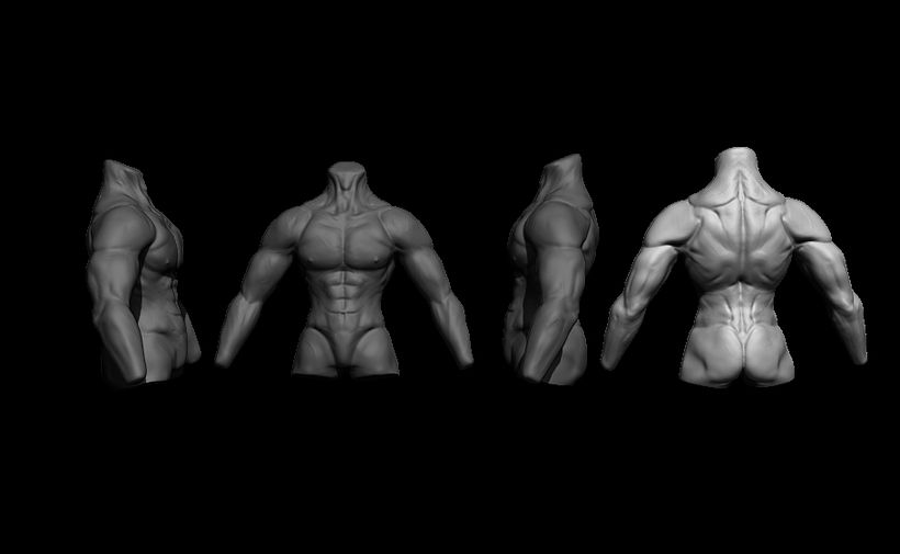 Heroic Torso Anatomy practice 8
