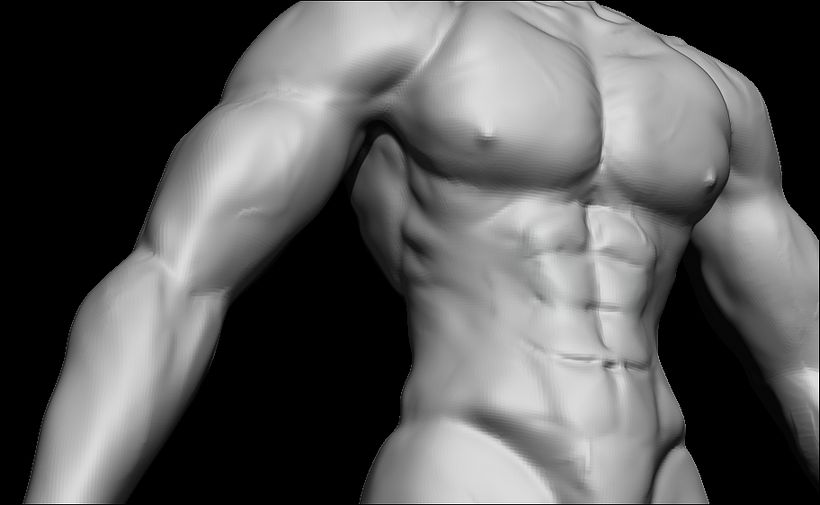 Heroic Torso Anatomy practice 11