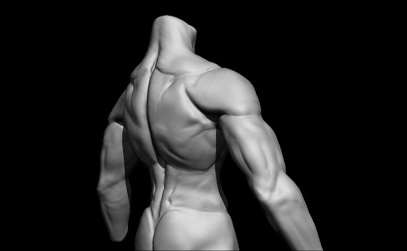 Heroic Torso Anatomy practice 12