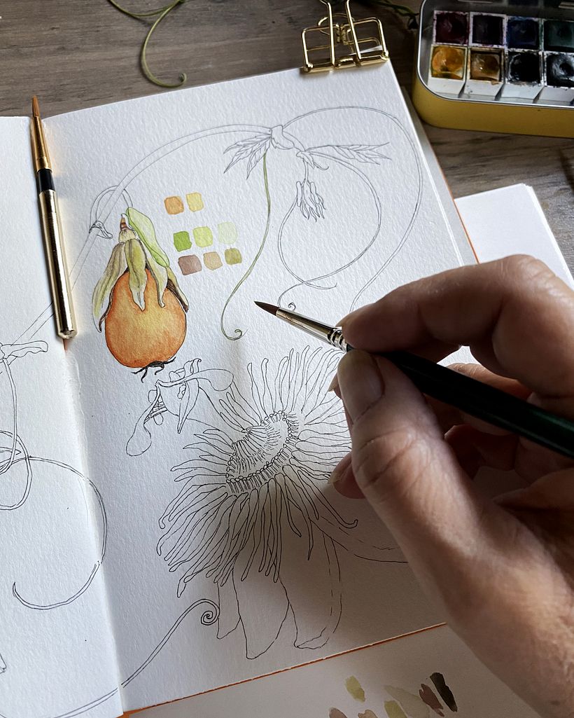 Fase de coloração; a escolha das partes a colorir é bastante intuitiva, e o layout na página também ajuda.