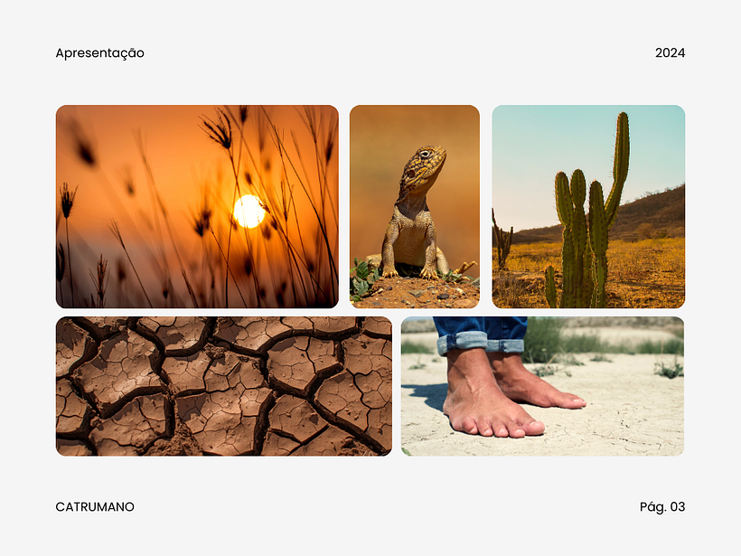 Catrumano - Centro de Excelência do Sertão Mineiro - BR 4