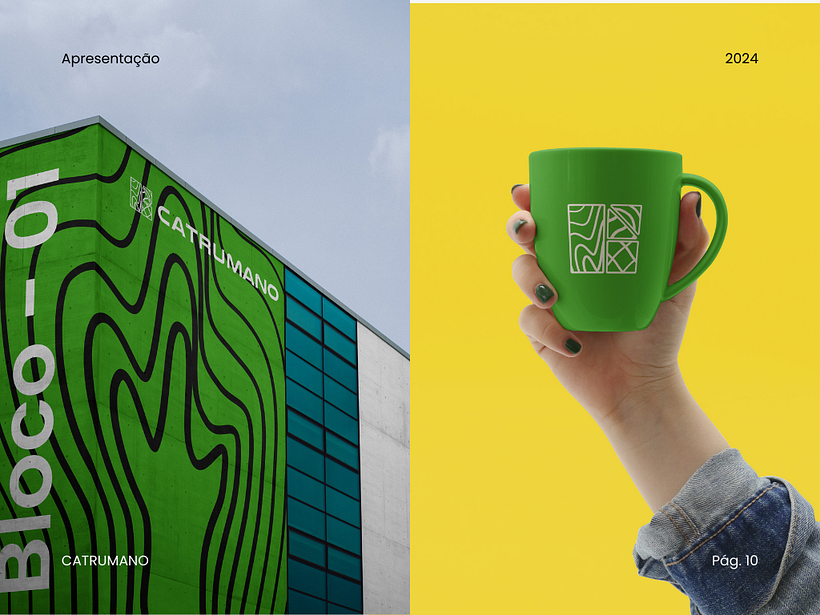 Catrumano - Centro de Excelência do Sertão Mineiro - BR 10