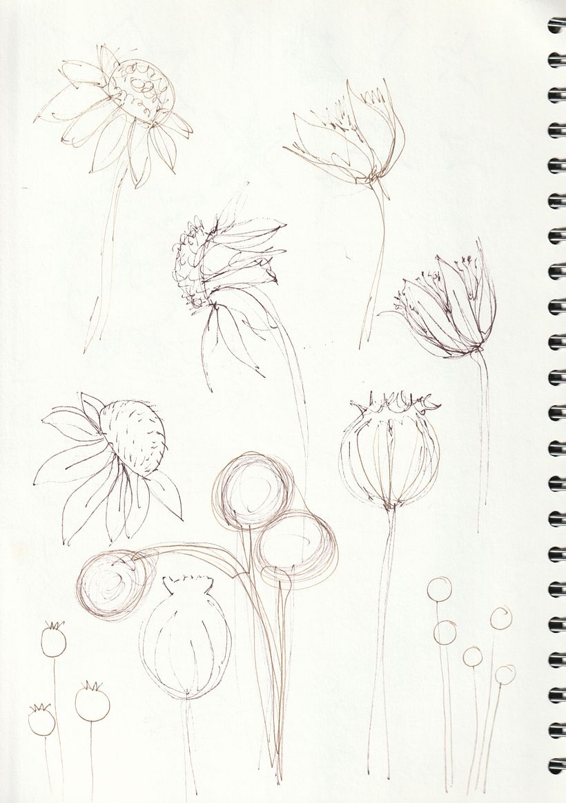 initial sketches