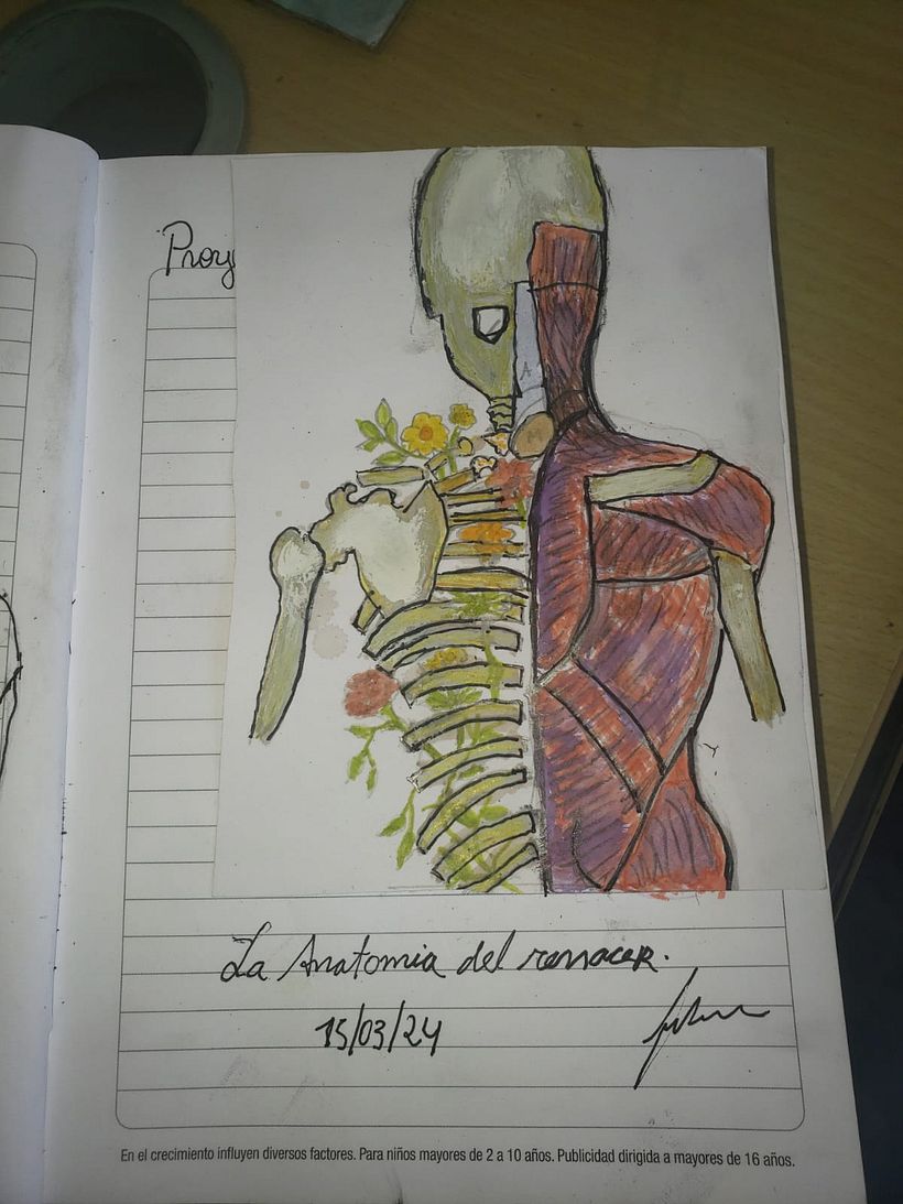 Anatomia del renacimiento 3
