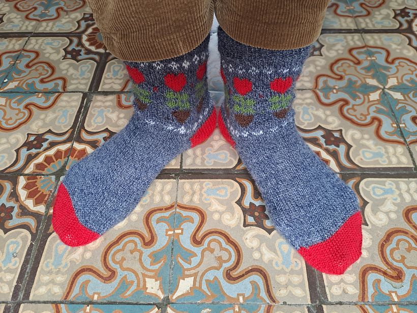 My project for course: Introduction to Colorwork Sock Knitting 1