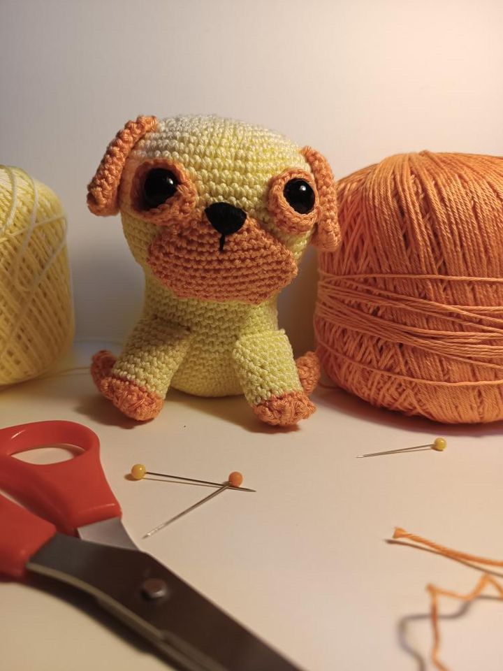 My project for course: Crochet Techniques: Make Amigurumi Characters 1
