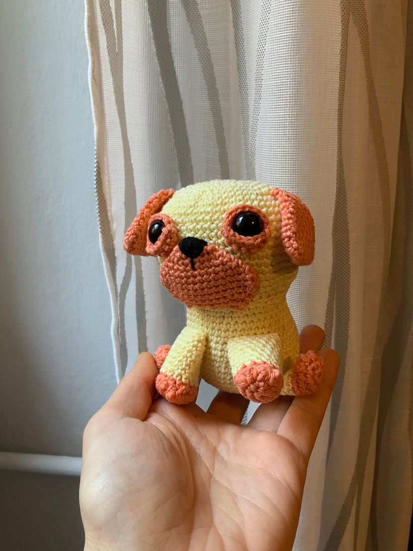 My project for course: Crochet Techniques: Make Amigurumi Characters 2