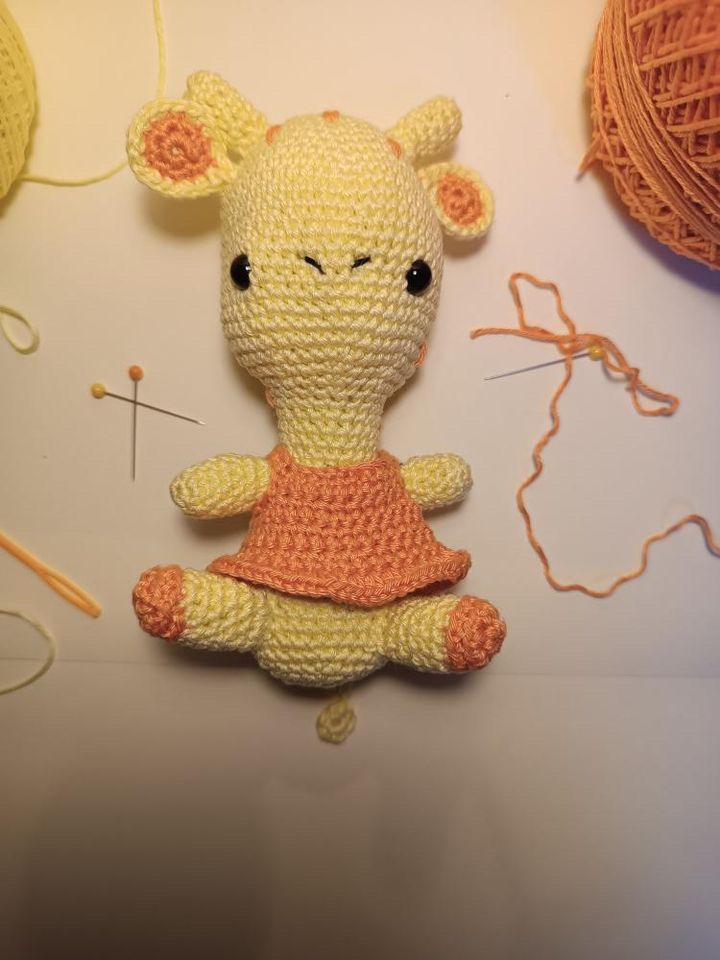 My project for course: Crochet Techniques: Make Amigurumi Characters 3
