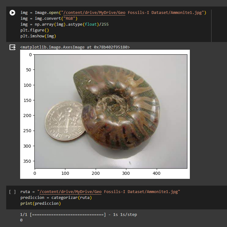 Mi proyecto del curso: Introducción a la IA con Python / Clasificacion de fosiles usando deep learning 10