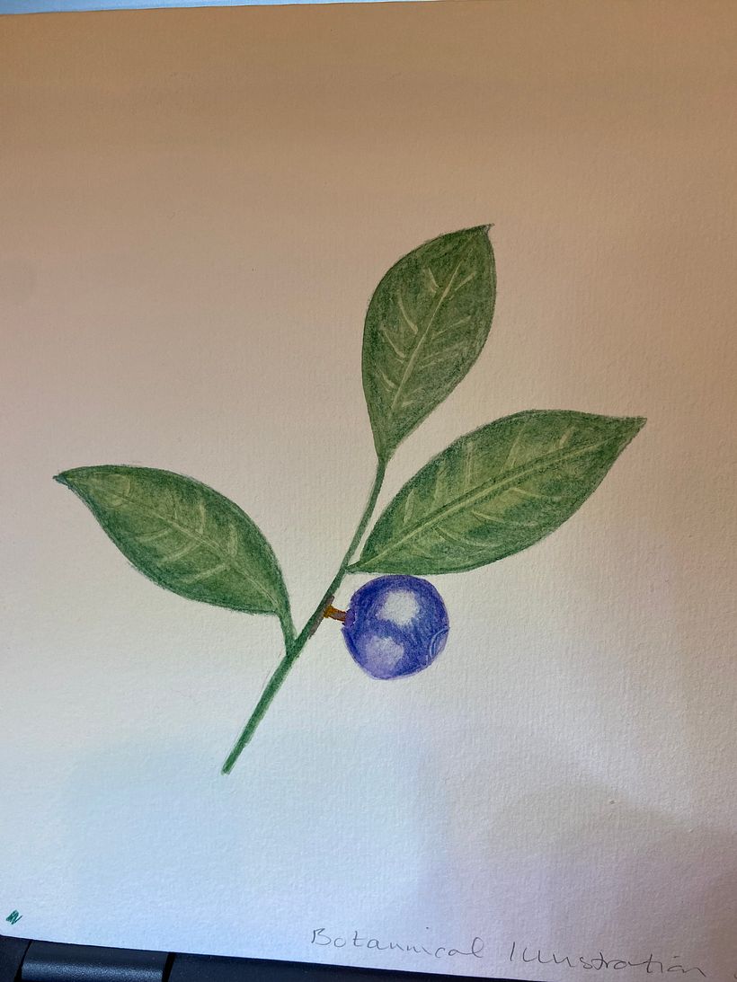 First try