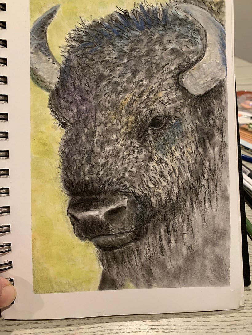 Pan Pastel Bison 1