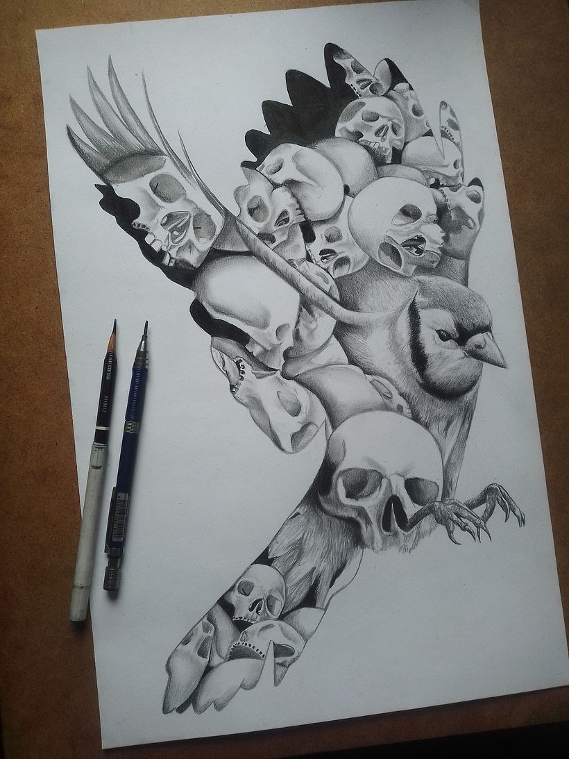 Mi proyecto del curso: Dibujo naturalista artístico a lápiz 1