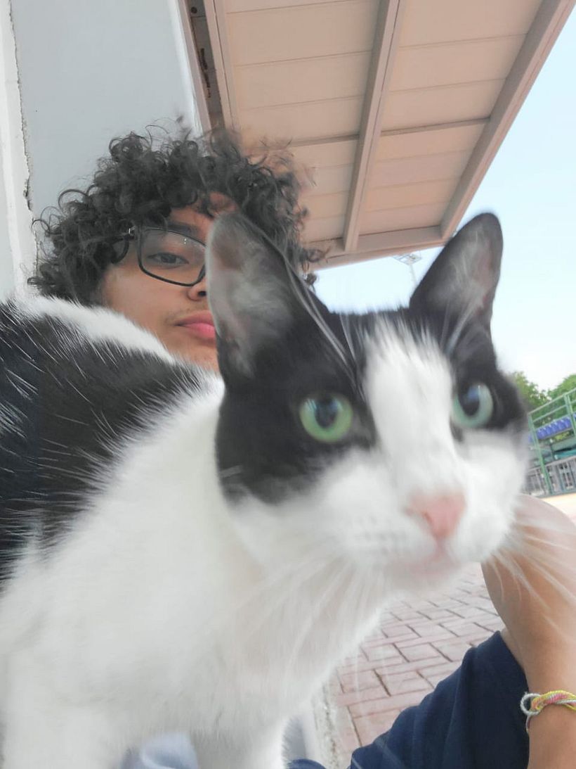 También tengo cierto gusto por la fotografia, me gusta tomar fotos de animales que me encuentro por ahi o deciden acercarse.