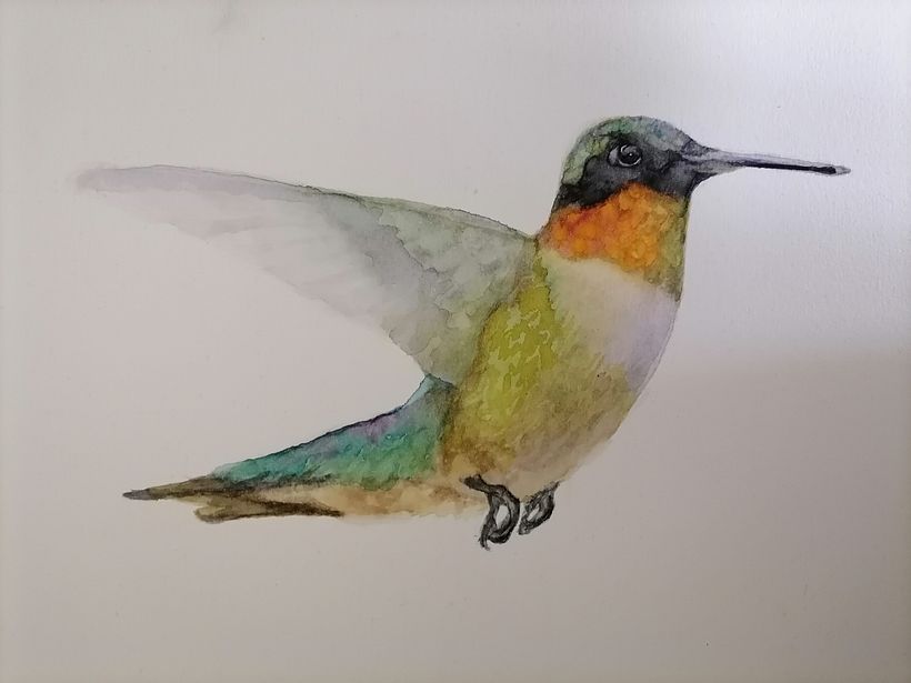 My project for course: Artistic Watercolor Techniques for Illustrating Birds 1