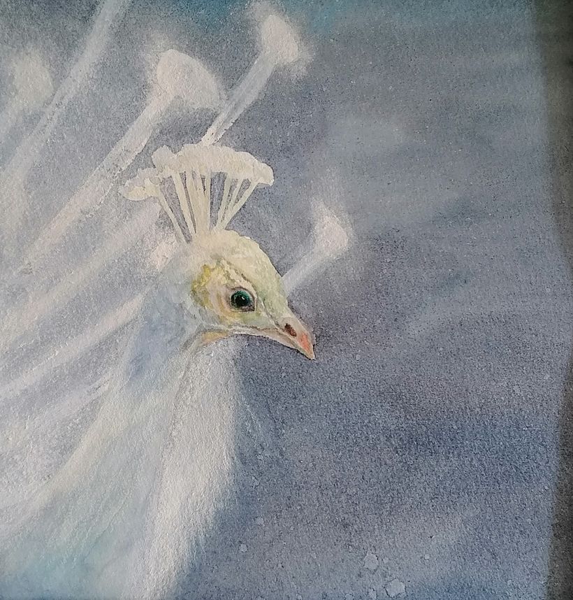 My project for course: Artistic Watercolor Techniques for Illustrating Birds 2