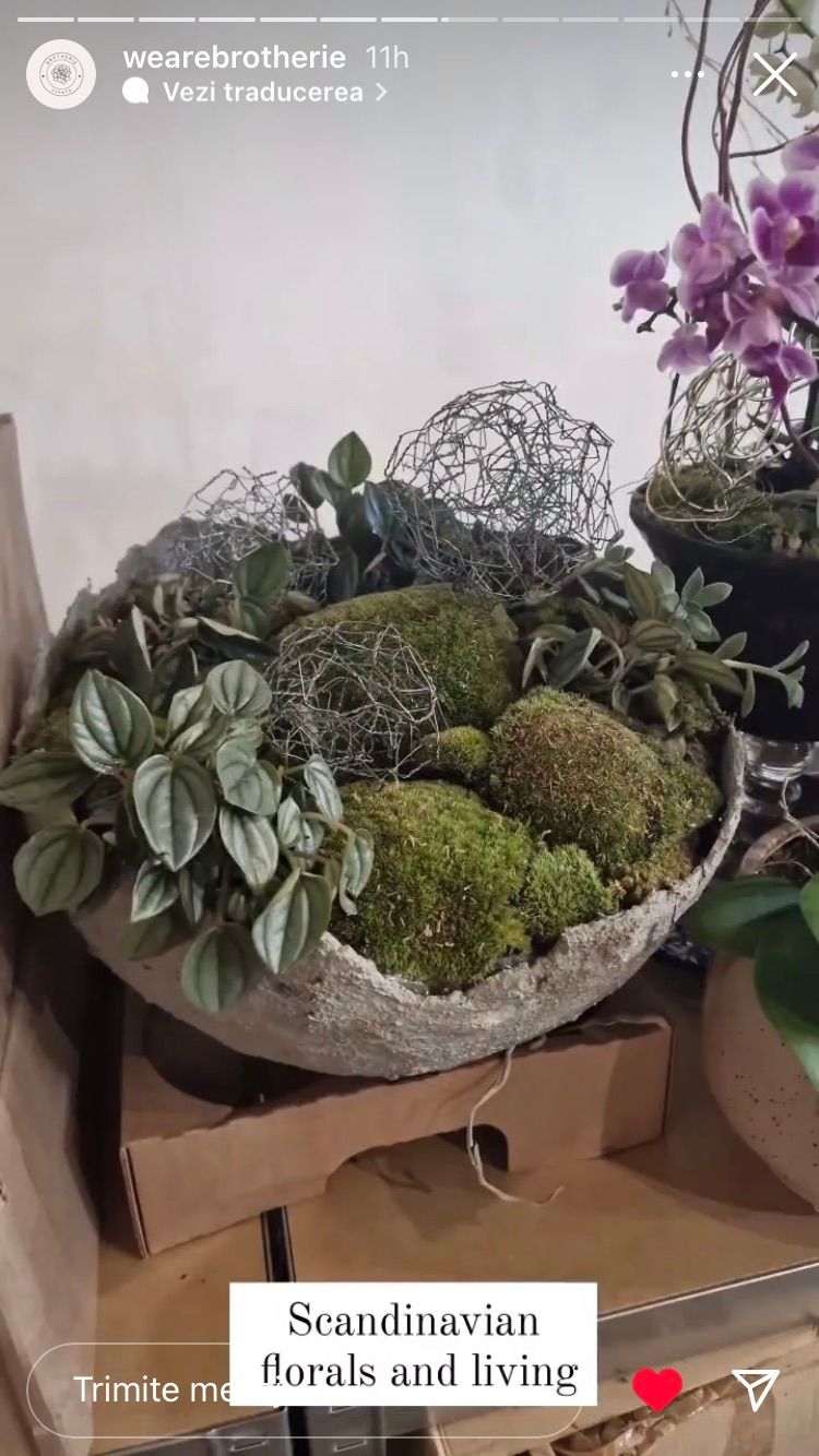 My project for course: Concrete Furniture Creation for Beginners 3