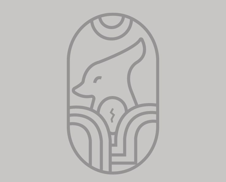 Mi proyecto del curso: Creación de un logotipo original desde cero 4