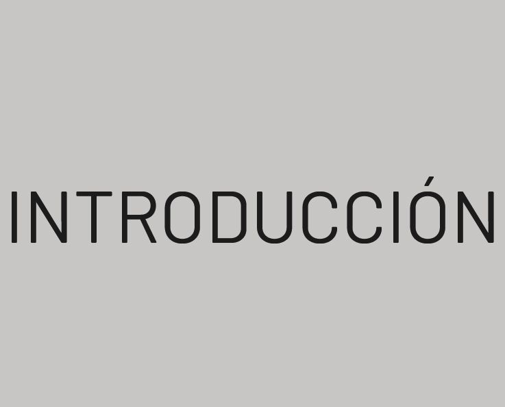 Mi proyecto del curso: Creación de un logotipo original desde cero 7