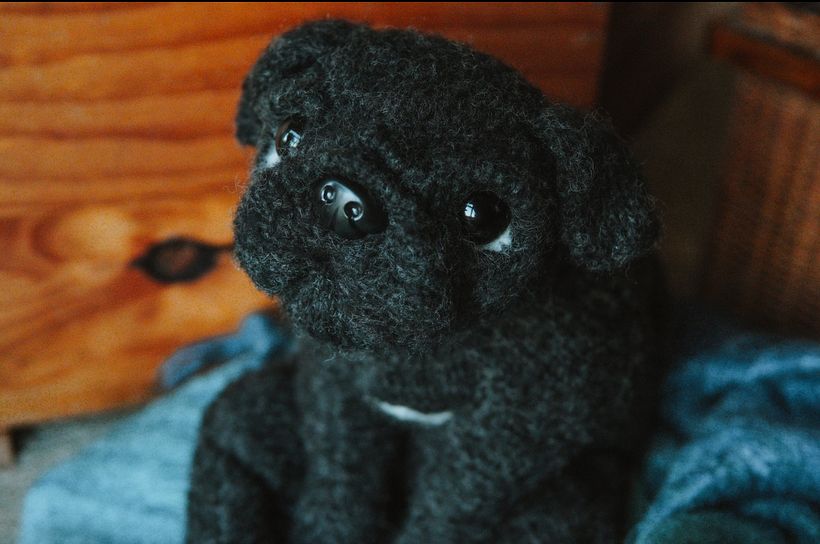 My project for course: Knitting Realistic Stuffed Animals: Make a Puppy from Yarn 2