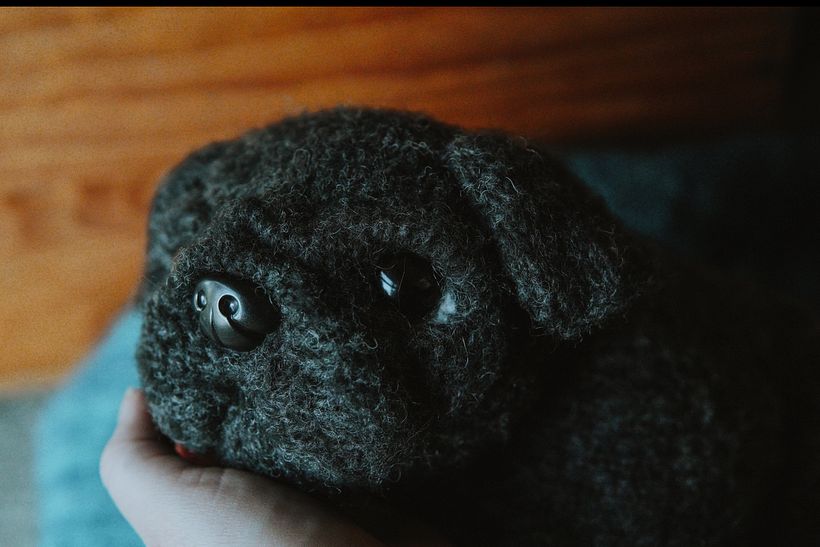 My project for course: Knitting Realistic Stuffed Animals: Make a Puppy from Yarn 3