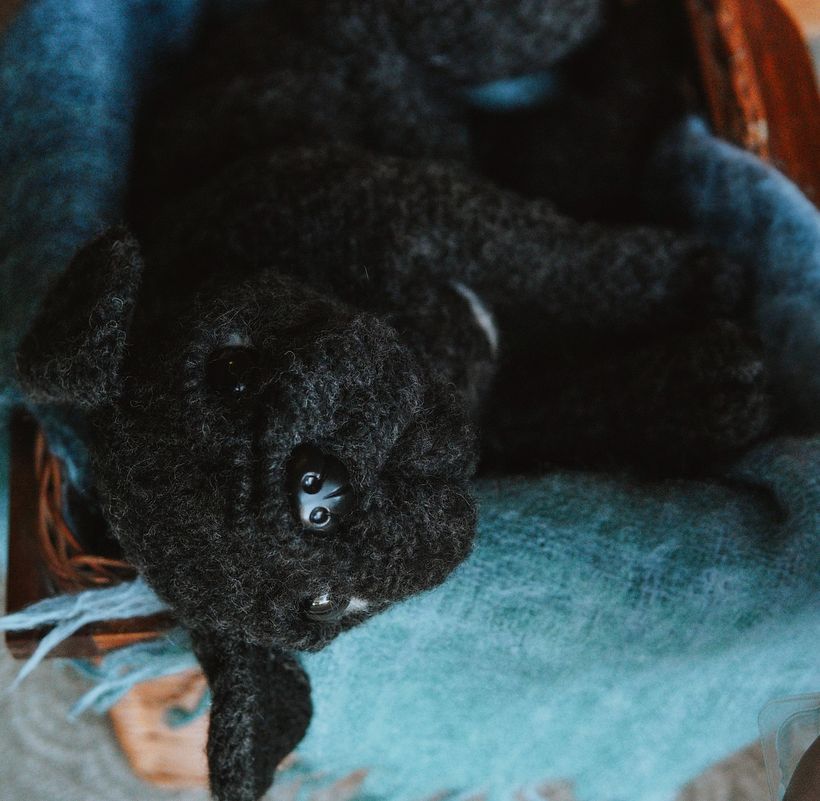 My project for course: Knitting Realistic Stuffed Animals: Make a Puppy from Yarn 5