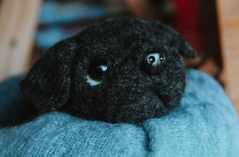 My project for course: Knitting Realistic Stuffed Animals: Make a Puppy from Yarn 6