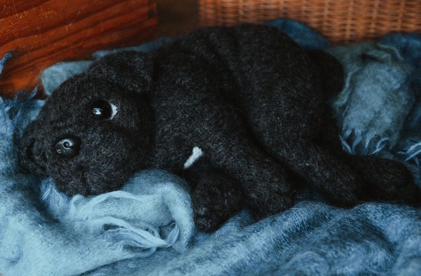 My project for course: Knitting Realistic Stuffed Animals: Make a Puppy from Yarn 7