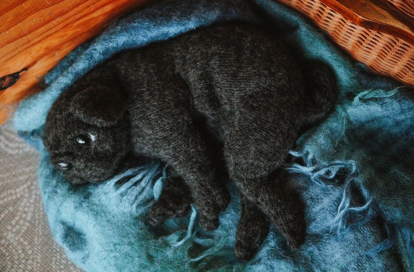 My project for course: Knitting Realistic Stuffed Animals: Make a Puppy from Yarn 8