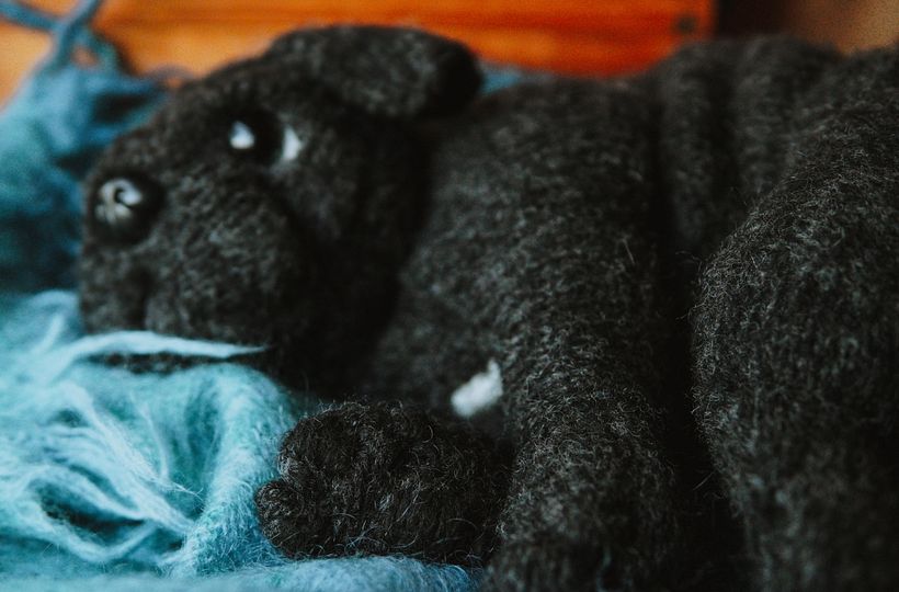 My project for course: Knitting Realistic Stuffed Animals: Make a Puppy from Yarn 9
