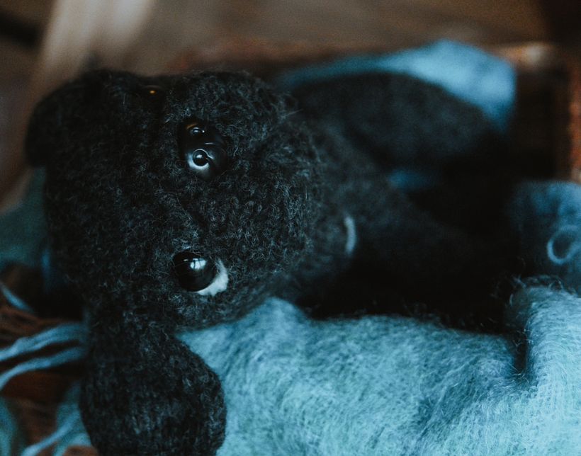 My project for course: Knitting Realistic Stuffed Animals: Make a Puppy from Yarn 10
