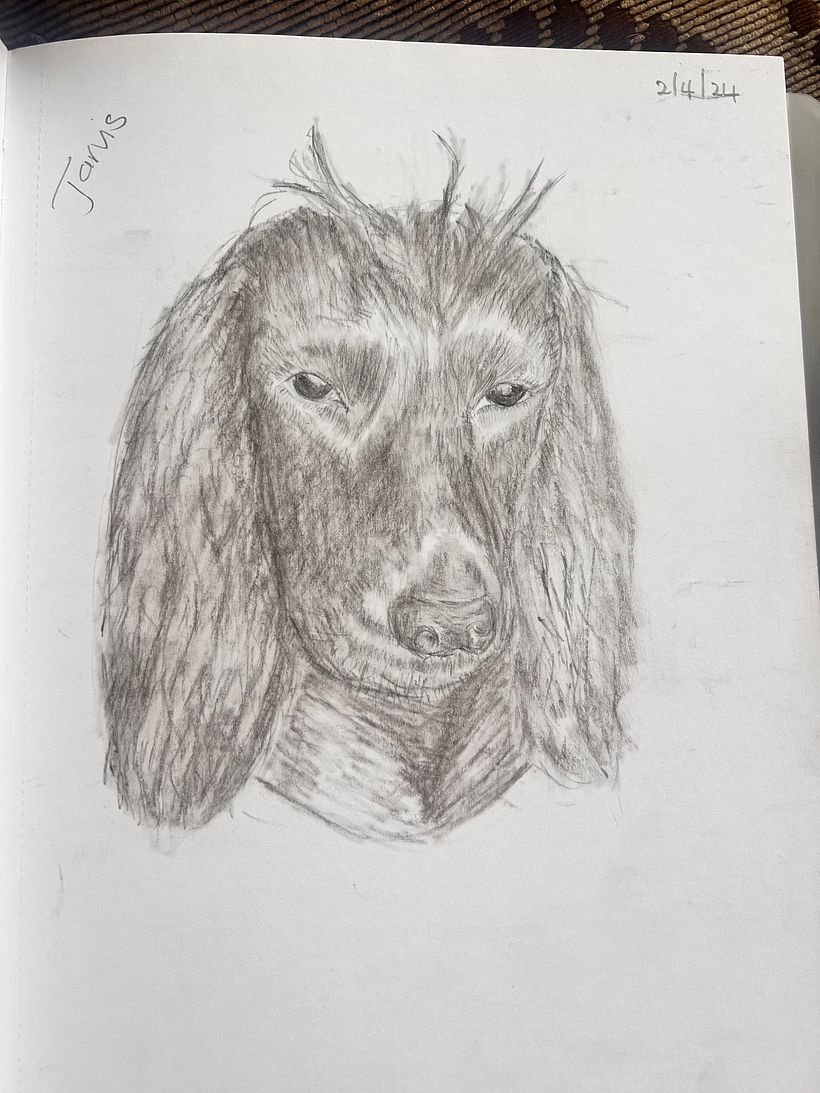 Learning to sketch 2