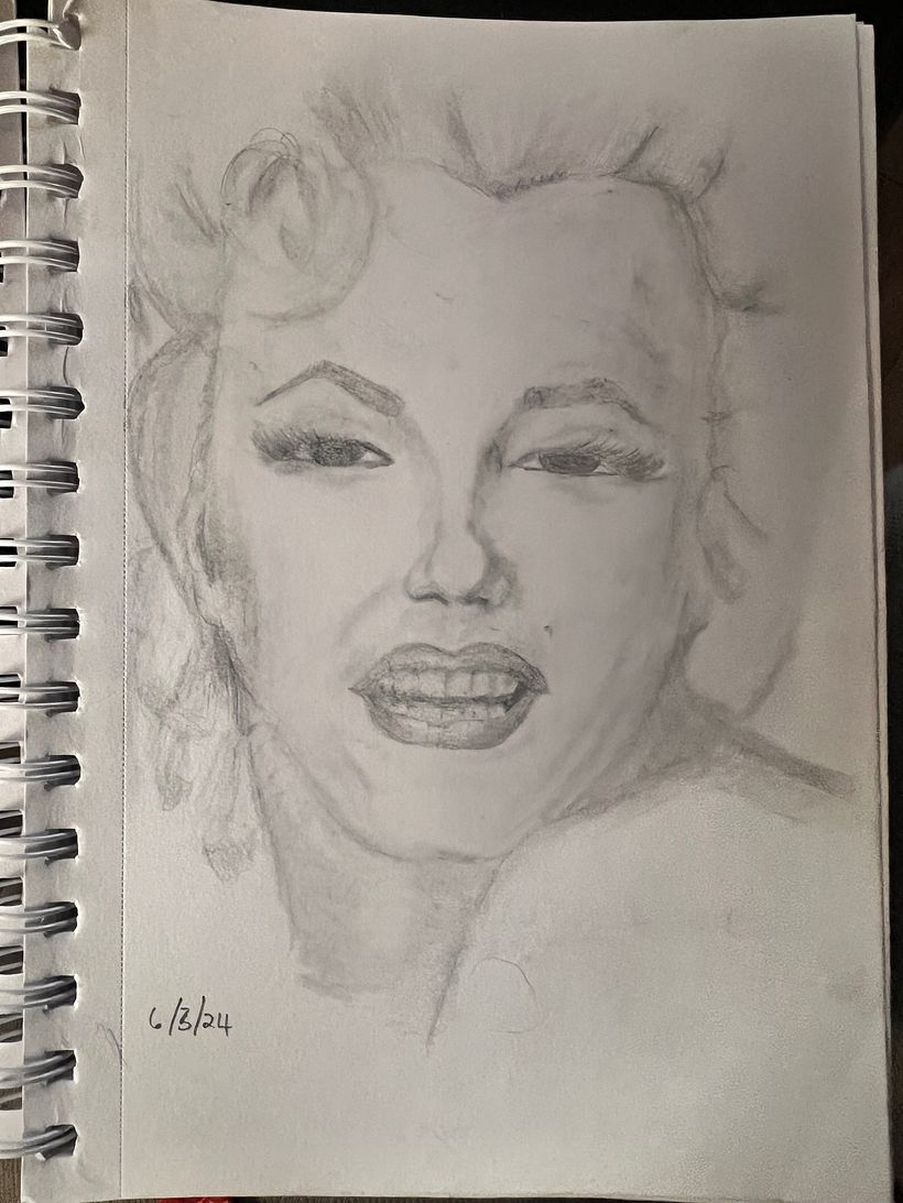 Learning to sketch 4