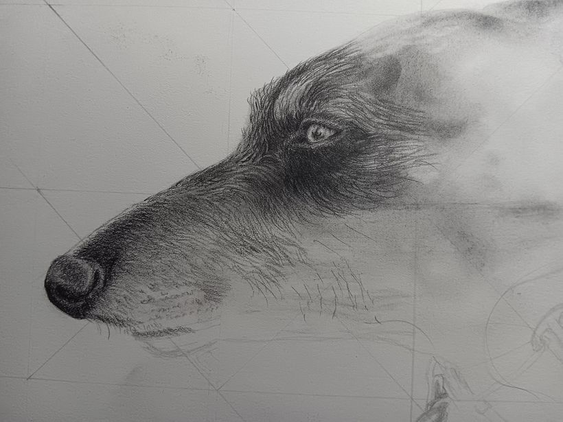 Portrait of Luna 4