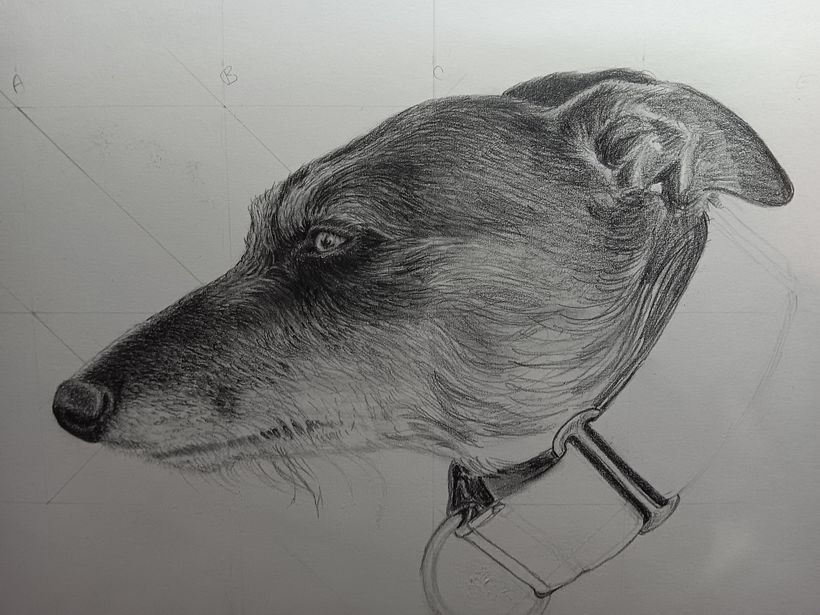 Portrait of Luna 3