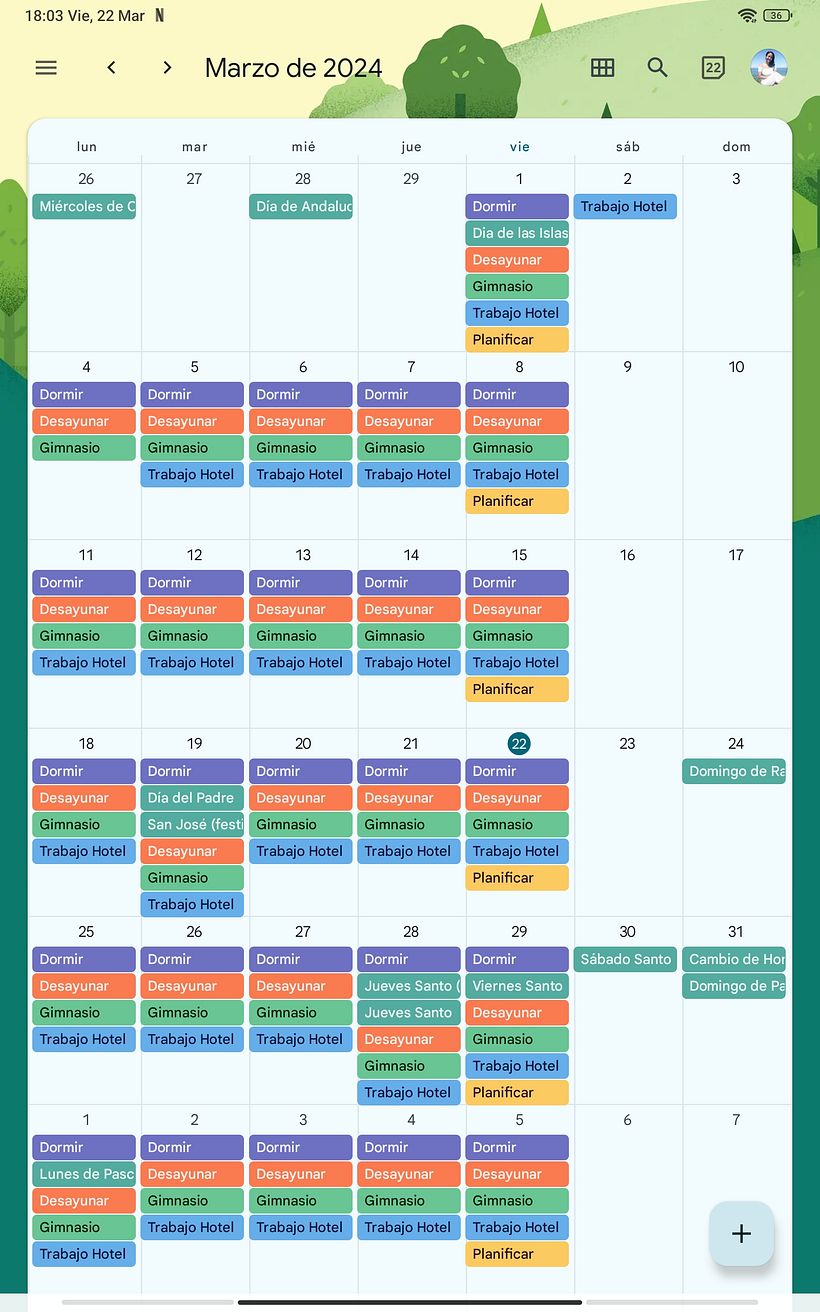 Organización en Google Calendario 