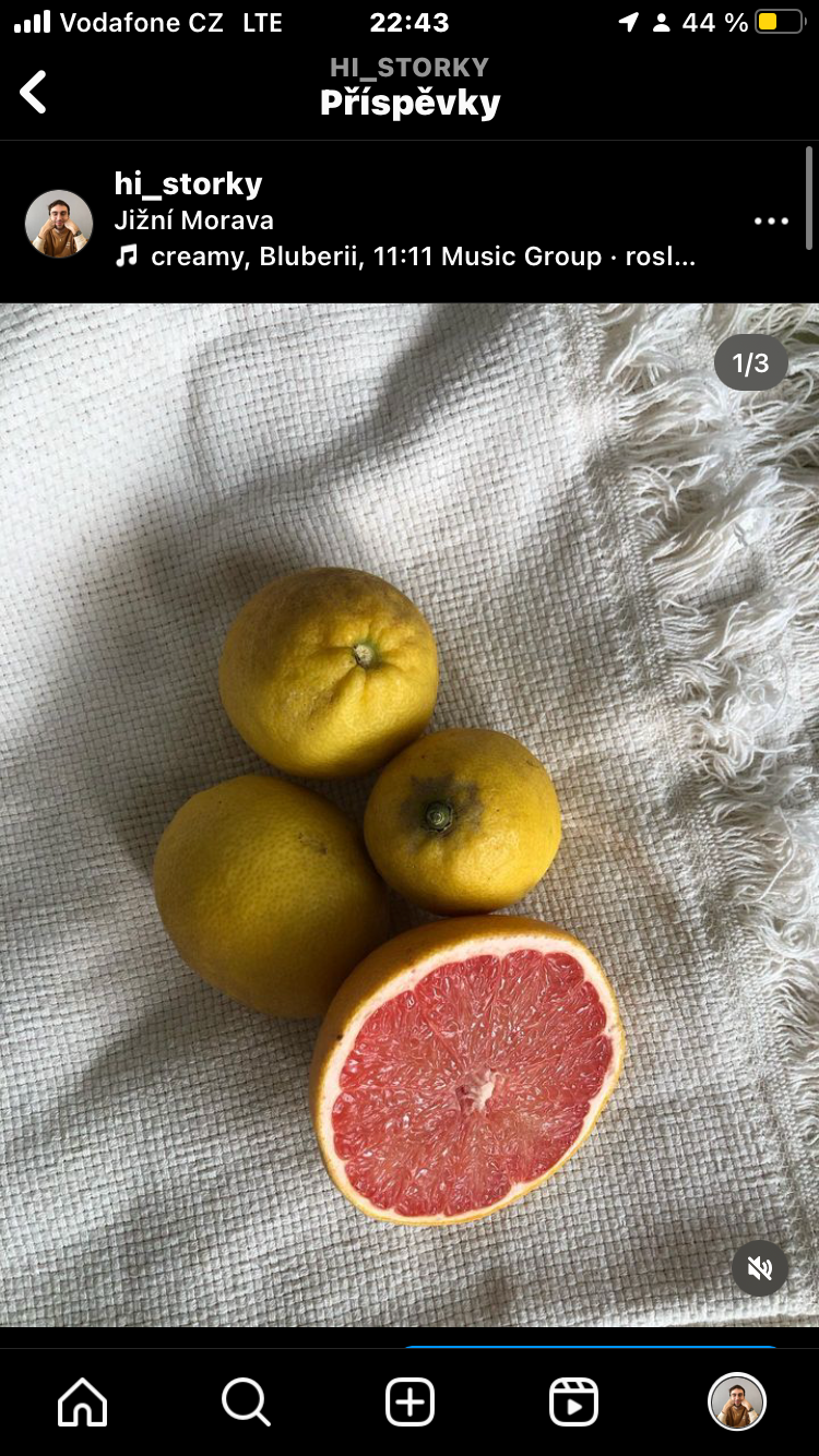 Tohle je můj příspěvek k výzvě označení hashtagu #povímtihistorku