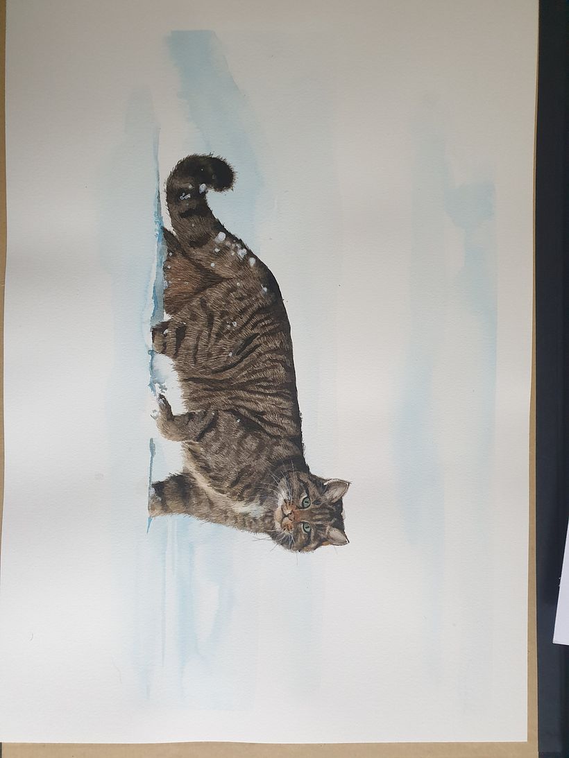 Il mio progetto del corso: Illustrazione scientifica di animali ad acquerello 5