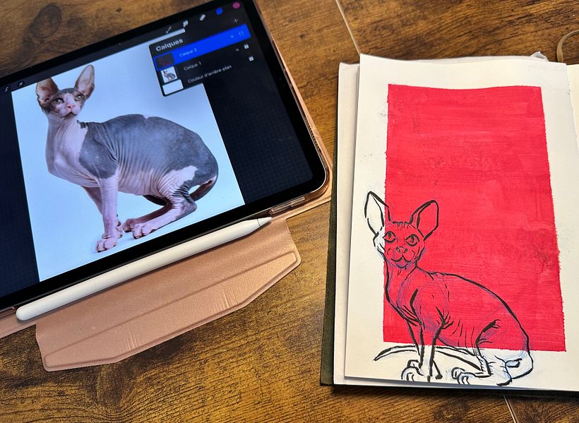 Mon projet du cours : Illustration d’animaux : représentez la faune sur un sketchbook 3