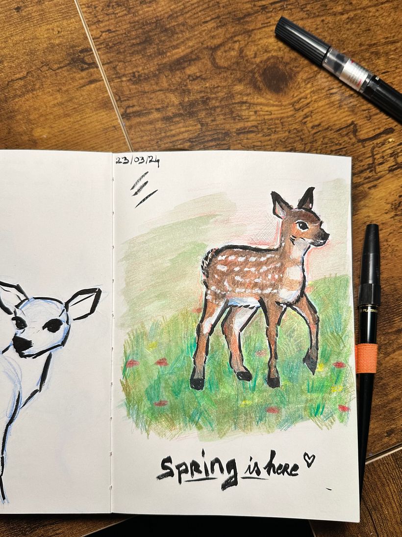 Mon projet du cours : Illustration d’animaux : représentez la faune sur un sketchbook 4