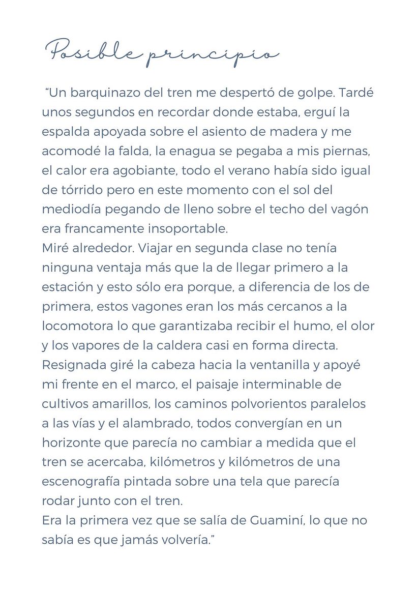 Mi proyecto del curso: Escritura de una novela paso a paso 4